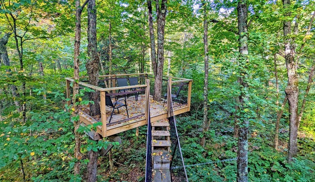 Treehouse #12 (in the forest)