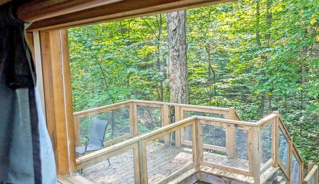 Treehouse #13 (in the forest)