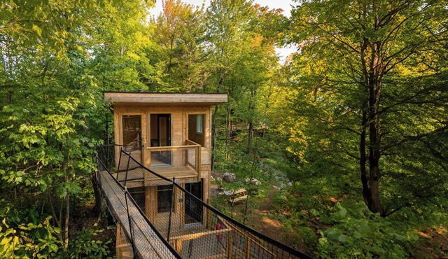 Treehouse #14 (in the forest)