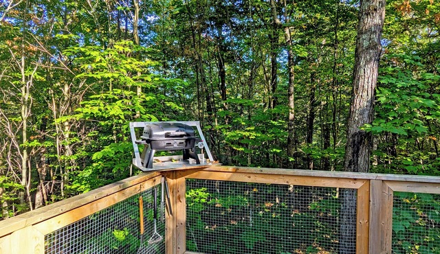 Treehouse #15 (in the forest)