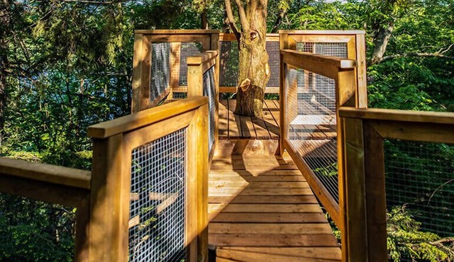 Treehouse #16 (Lakefront)