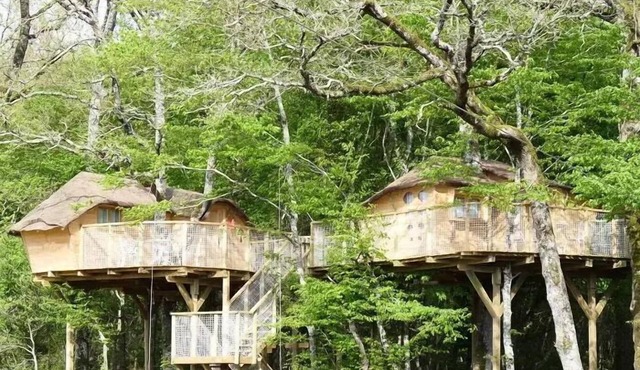 Treehouse 4 People
