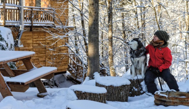 Treehouse #9 | The Yurt