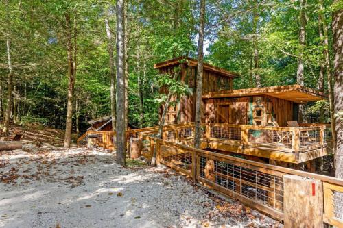 Treehouse - Amazonia - Red River Gorge KY