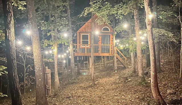 Treehouse and Hot Tub on 10acres - Pet Friendly!