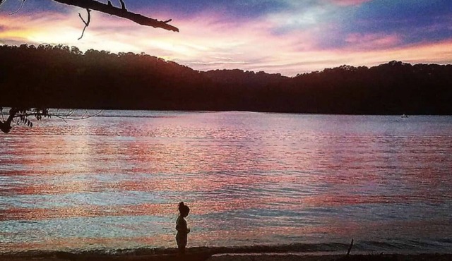 Treehouse by The Lake
