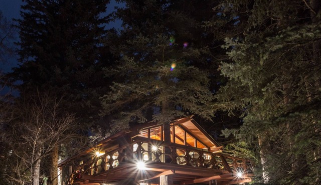 Treehouse by the Stream