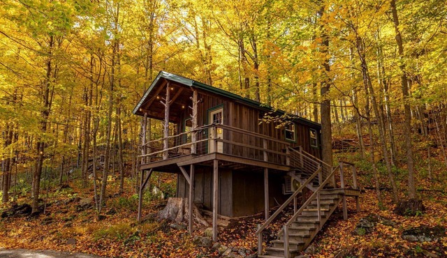 Treehouse Cabin in Riverton, WV