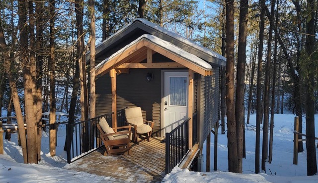 Treehouse Cabin in the Bluff Woodlands