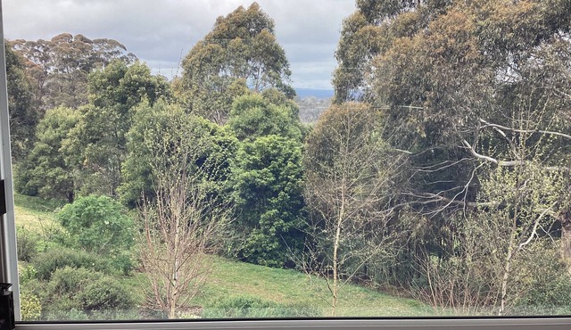 Treehouse Eco Retreat