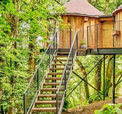 Treehouse In Devon - riverside woodland hideaway