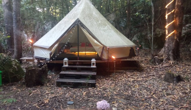 Treehouse in rural forest area, charming Tipi Glamping tent in downtown area