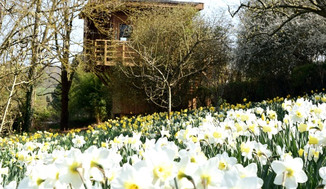Treehouse “La Cabane Perchée”