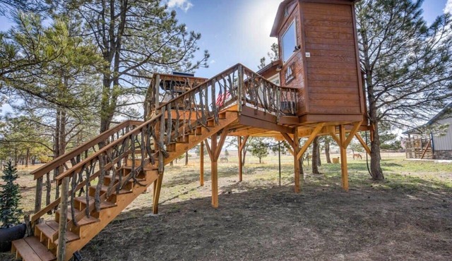 Treehouse Mountain Views Unique Ranch Experience