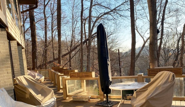 Treehouse on the Hill