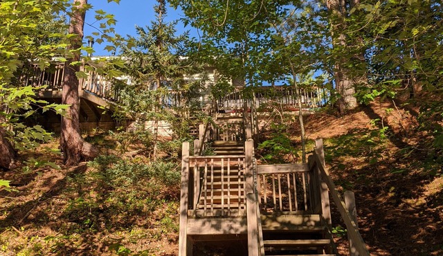 Treehouse on the river.
