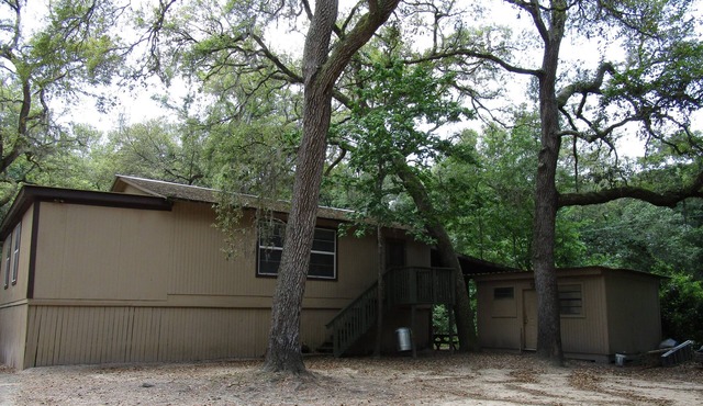 Treehouse on the Suwannee River