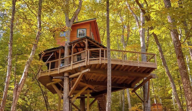 Treehouse Resort ~Dog Friendly~18-hole disc golf