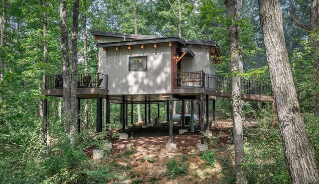 Treehouse - Twilight