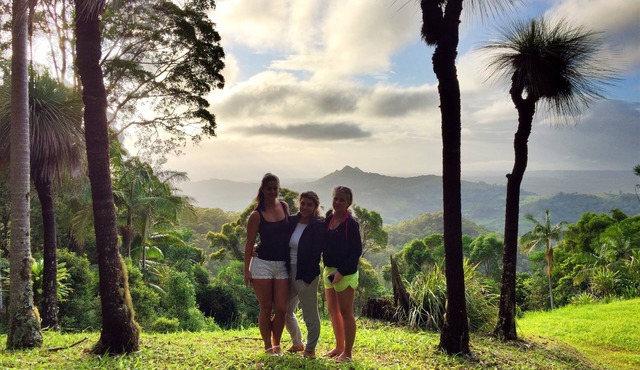 Treepod of the Treehouse