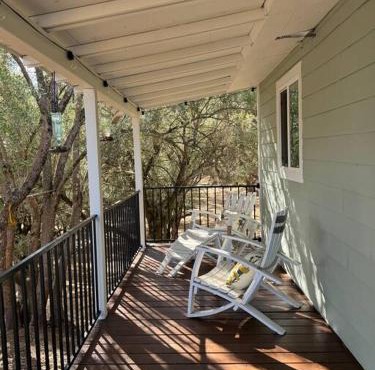 Trees of Heaven - Olive House