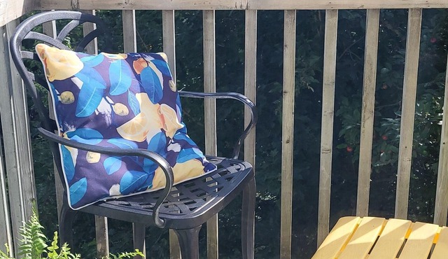 Treetop Apartment in Victoria Cross. Spacious apt with balcony overlooking creek