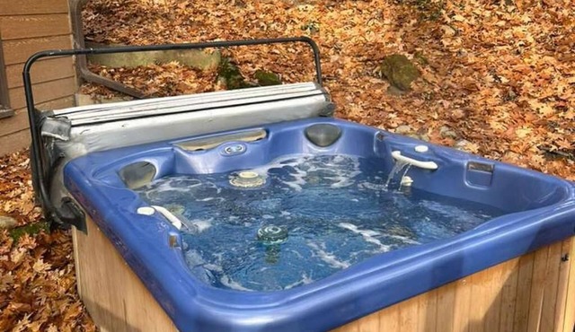 Treetop Cottage-Private Mill Lake-HotTub-Kayaks-Firepit-Boats -DOGS ok! No Fees!