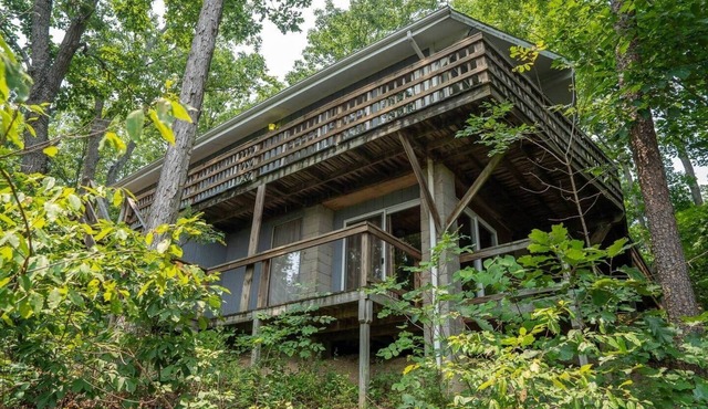 Treetop Hideaway/Stunning Views/Dog friendly