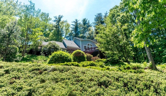 Treetop Hideaway with mountain views. 1000 sq. ft. 10 min to downtown Asheville!