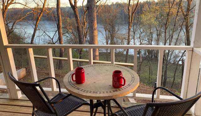 Treetop paradise on Broad River!