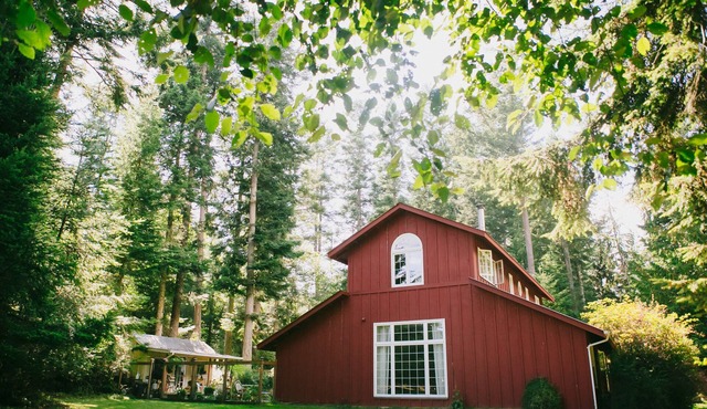 Treetop Pastoral Views, Beach Access, Beautiful Light in Converted Barn Apt.