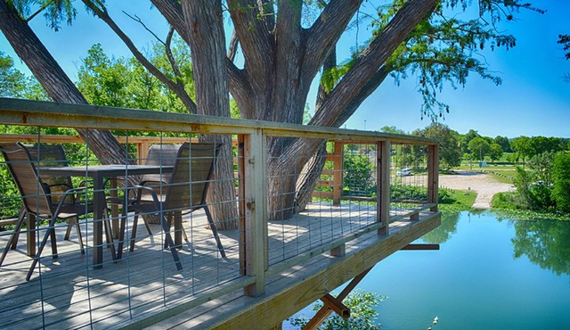 Treetop River Cabins