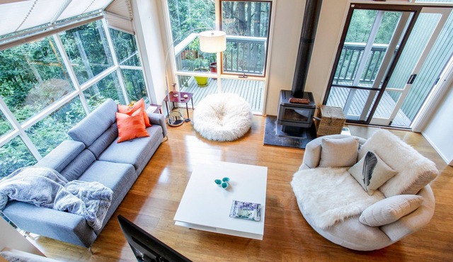 Treetop Stay Sassafras