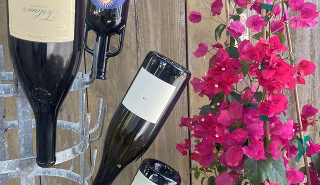 Treetop Studio Downtown Napa❤️ Modern Remodel of Vintage Home 🏡 GORGEOUS 🍷