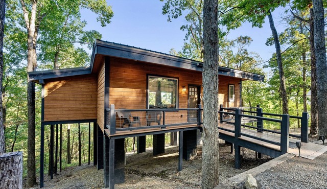 Treetop Views for Miles! New, Romantic Couples Cabin