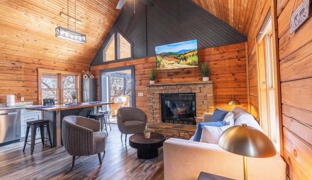 Treetopia Ridge - A Rare Find among 1 Bedroom Cabins - Master Suite +Children's Loft +Guest Quarters