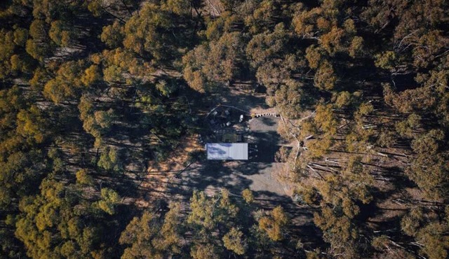 Treetops 1 by Tiny Away