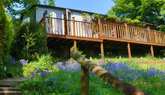 Treetops, a peaceful haven retreat only 1 mile from Bantham beach in South Devon