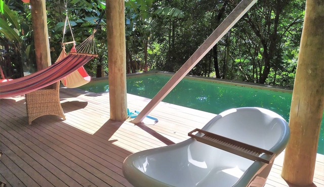 'TreeTops By The Sea': Your Family Holiday Escape!