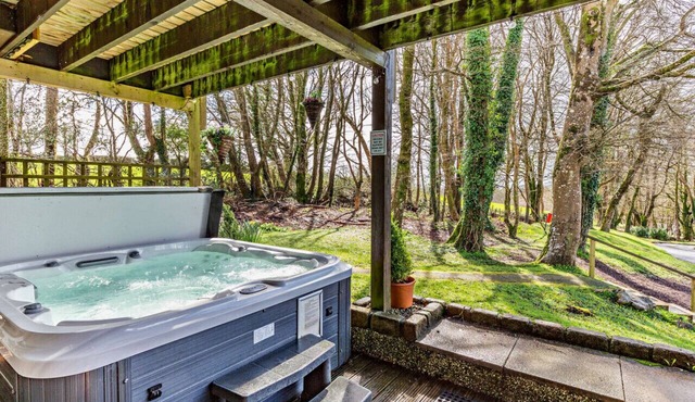 Treetops Lodge - Three Bedroom House, Sleeps 6