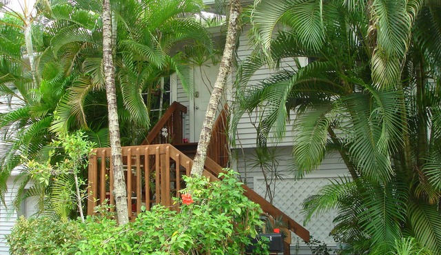 Treetops Riverfront Private Cottage w/Dock,wildlife,kayak,bike,pool,100+ reviews