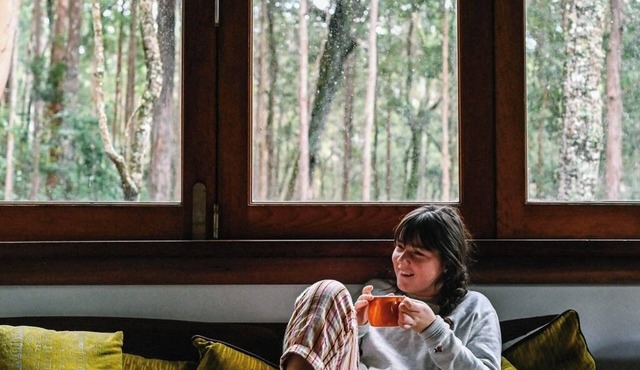 Treetops - Your Rainforest RetreatnnSurround yourself with nature.