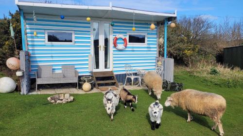 Treguth Glamping Unique Experience - Themed Huts