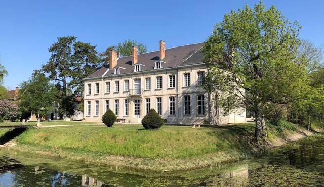 Tremendous 8-bedroom castle in Isle-sur-Marne