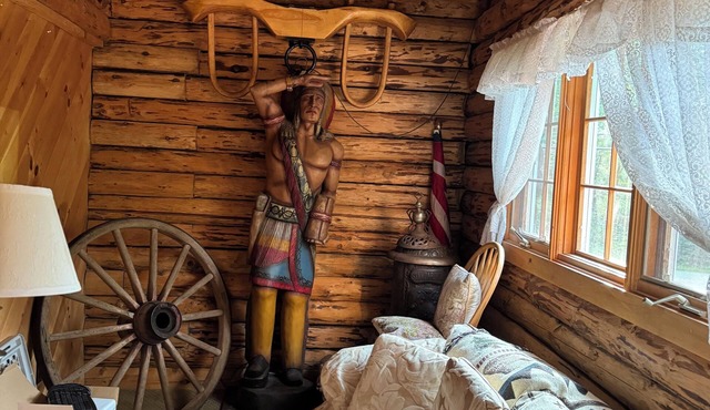 Tremendous cabin with AC in charming Conway
