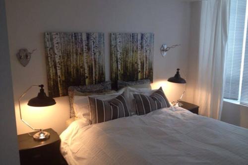 Trendy Queen West Area FIFA rental