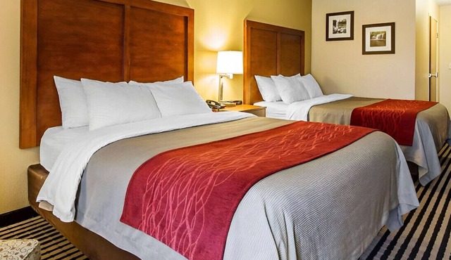 Trendy Sanctuary for Your Lovely Crew!Free WiFi