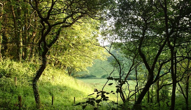Trenedden Barn, Cornwall, near Fowey, Looe, Lerryn, Polperro, beaches and coast