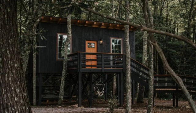 Trent Treehouse Unit 7- Not Pet Friendly - Glamping Retro