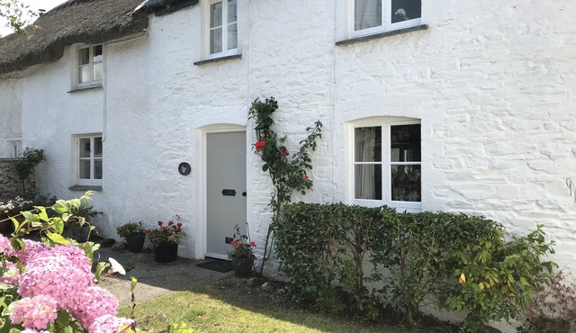 TREVEAN, pet friendly, with open fire in Crackington Haven